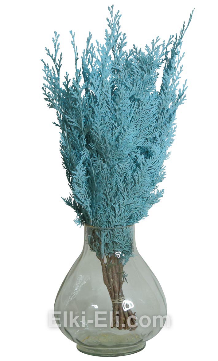 ЛАПНИК ТУИ ДЕКОРАТИВНЫЙ ГОЛУБОЙ