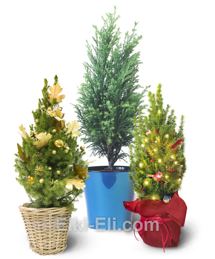 Подарочные ёлки