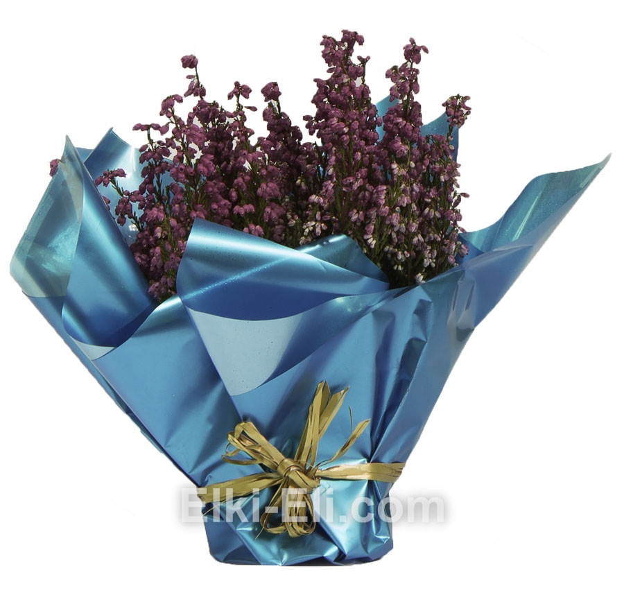 Эрика (цвет: розовый) в подарочной упаковке, фото