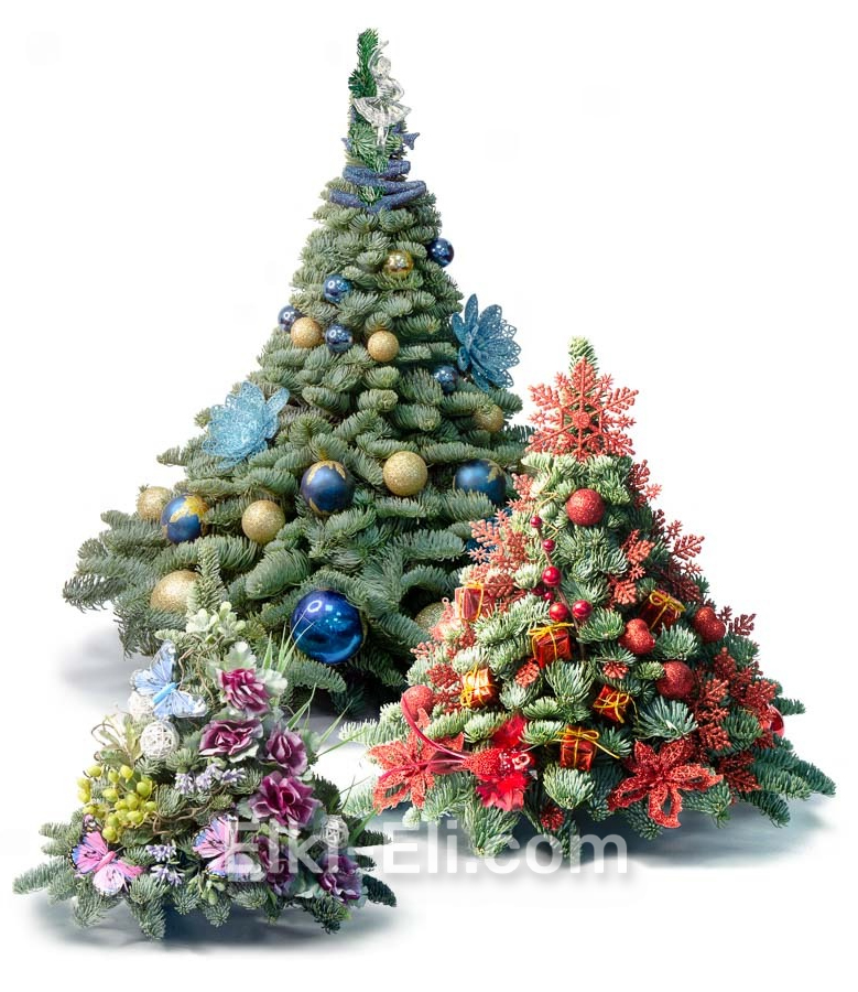 Елочки из лапника дизайнерские 