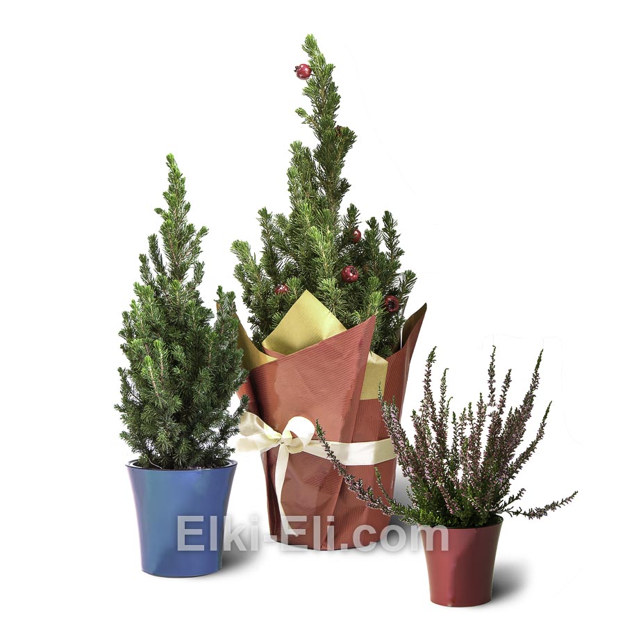 Настольные елки