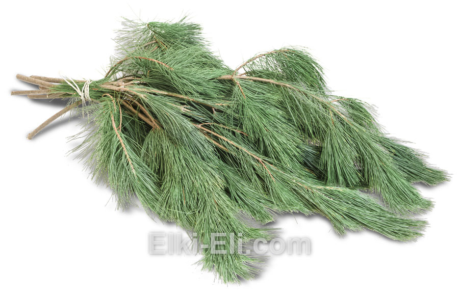 Лапник сосны Веймутовой 0,3-0,5 кг