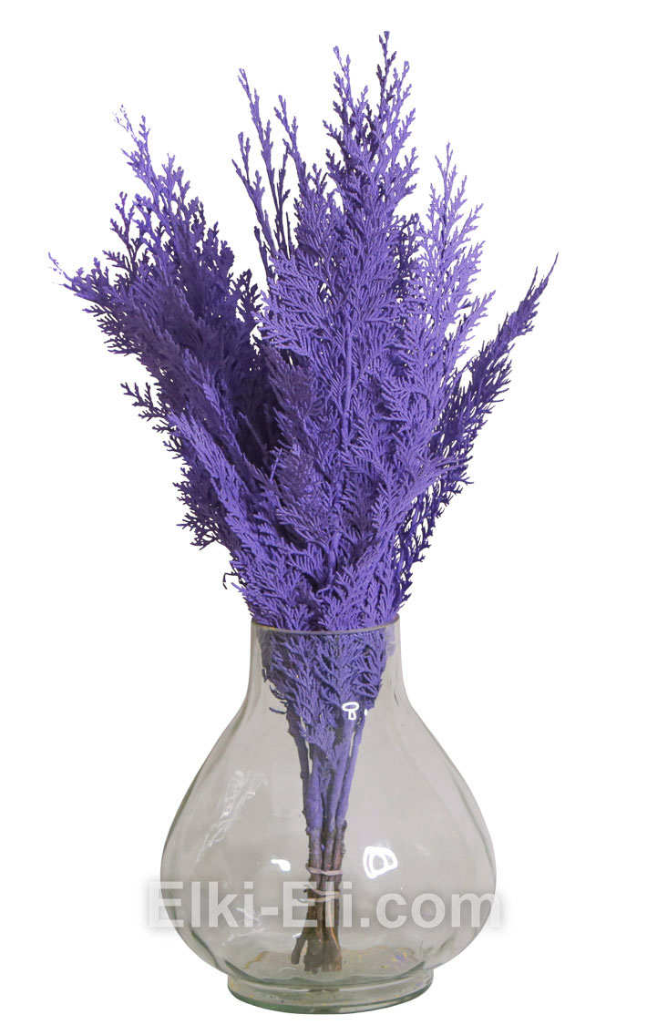 ЛАПНИК ТУИ ДЕКОРАТИВНЫЙ ФИОЛЕТОВЫЙ