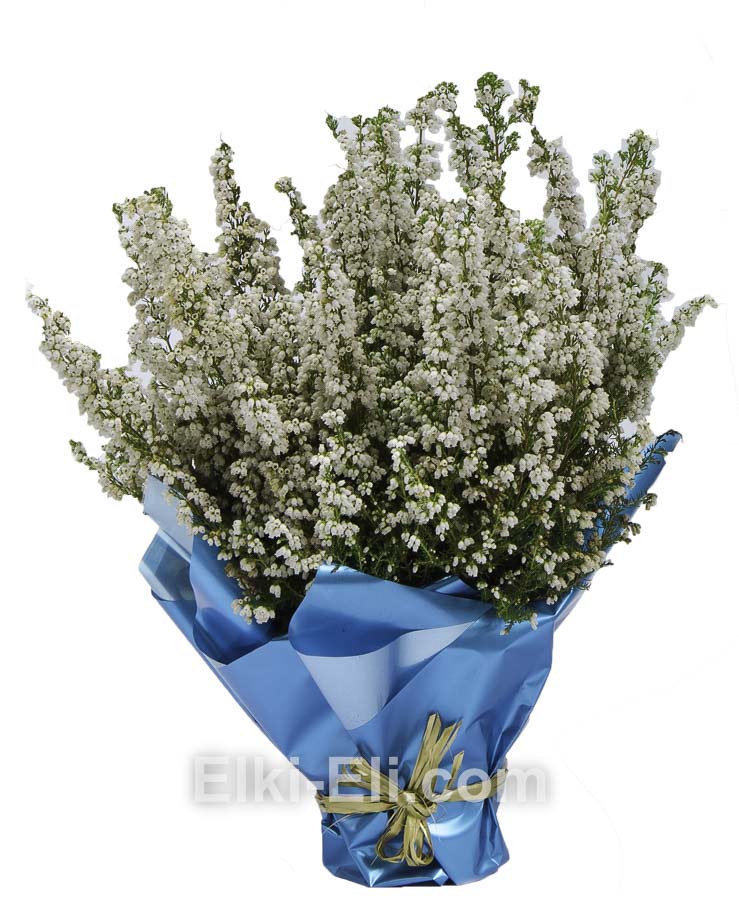 Эрика (цвет: белый) в подарочной упаковке, фото