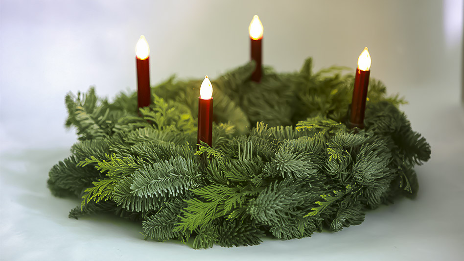  Лапник пихты Нобилис уже на нашем складе!