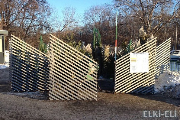 Елочные базары Елочные базары