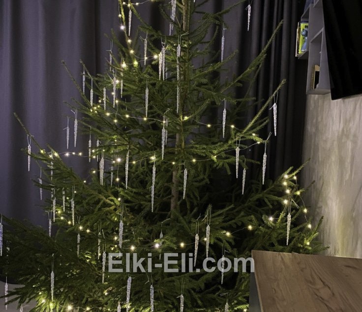 Ель русская принесет праздник в Ваш дом