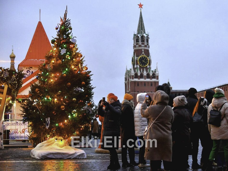 Ель русская на главной площади столицы