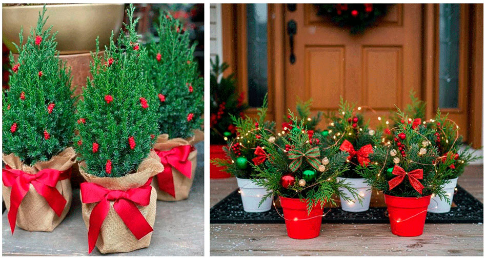 Праздничные украшения подчеркивают необычность и красоту маленького новогоднего дерева.