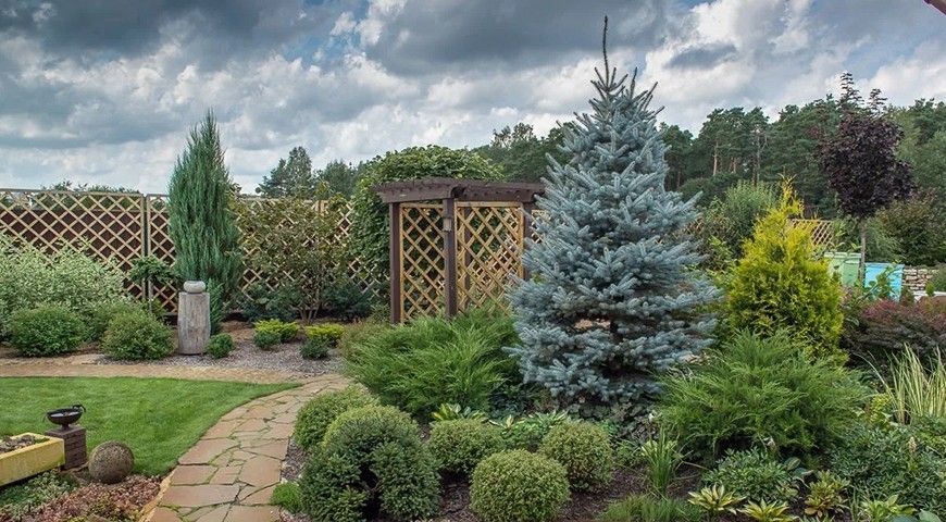 Ландшафтный дизайн с елью Эдит Ландшафтный дизайн с елью Эдит