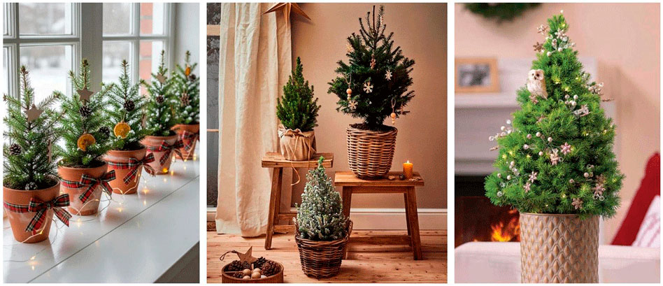 Среди всех настольных новогодних мини-елочек Коника выделяется своими пропорциями, идеальной формой и плотностью хвои.