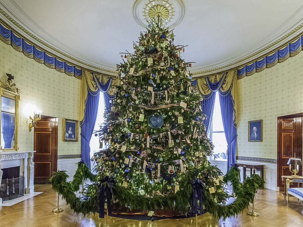 Новогодняя елка (Пихта Дугласа) в Голубом Зале