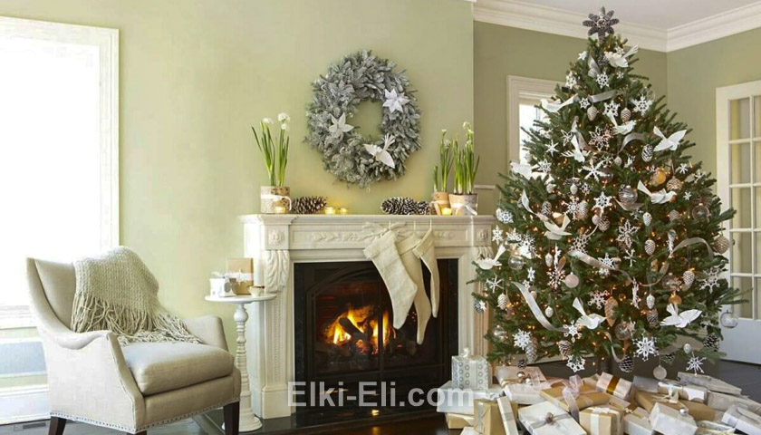 Ель Датская в горшке в качестве новогоднего дерева