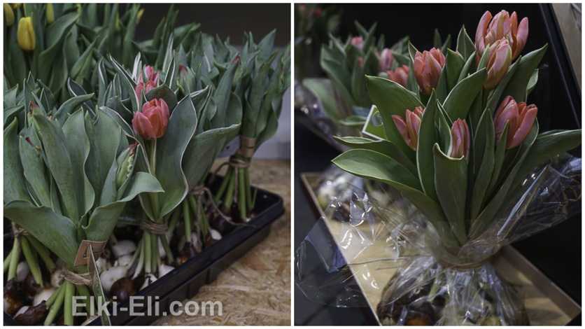 Необычные букеты из тюльпанов с луковицами
