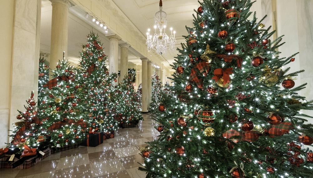 Рождественские декорации из елок в Белом Доме