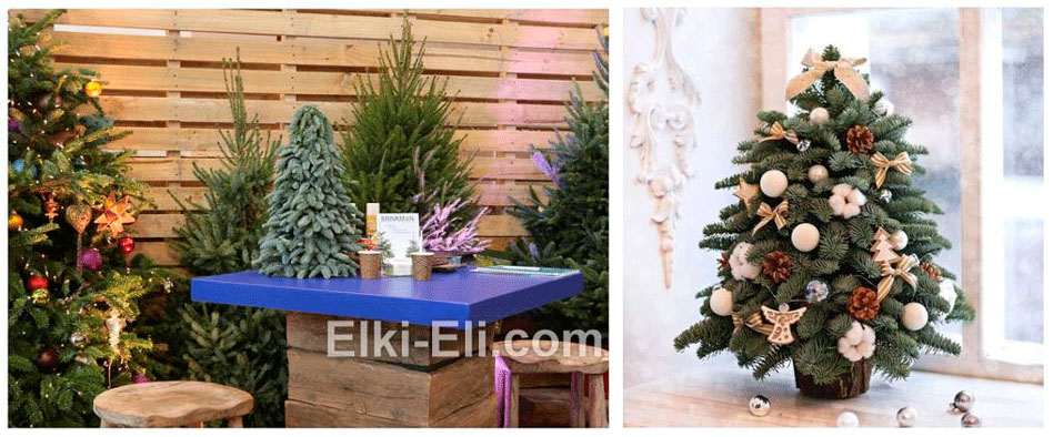 Маленькая новогодняя елочка из лапника органична и на офисном столе и подоконнике гостиничного номера.