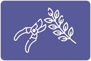 Стрижка живой изгороди, фото