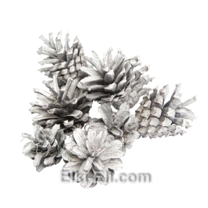 Цветная сосновая шишка (белая), фото