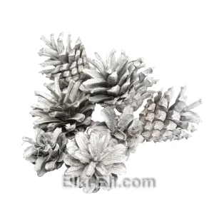 Маленькая цветная сосновая шишка (цвет: белый), фото