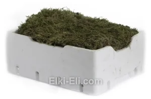 Живой мох пластами, фото