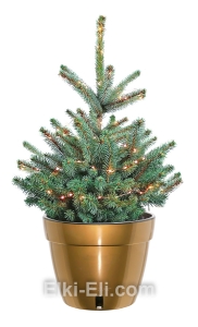 Ель голубая Super Blue с гирляндой в кашпо "Асти", фото Ель голубая Super Blue с гирляндой в кашпо "Асти", фото