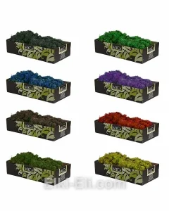 Мох стабилизированный ягель, фото