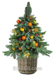 Елочка из лапника «Цитрус», фото Елочка из лапника «Цитрус», фото