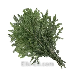 Лапник еловый новогодний, фото