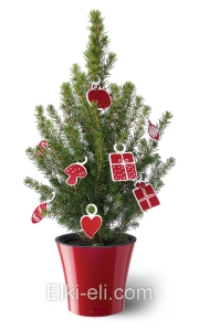 Ель Коника подарочная "Праздник", фото