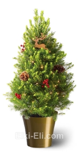 Ель Коника подарочная "Ягоды" в кашпо "Арте", фото