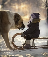 Зимняя прогулка с лучшим другом