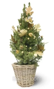 Ель Коника (Ель сизая), живое новогоднее украшенное дерево в кашпо ротанг с гирляндой (цвет украшений: золото), фото