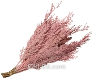 Лапник туи декоративный розовый, фото