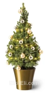 Ель Коника "Золотая сказка" в кашпо , фото