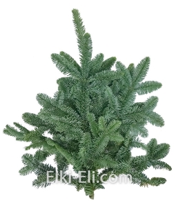Лапник пихты Нобилис для украшения, фото