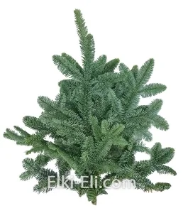 Лапник пихты Нобилис для украшения, фото