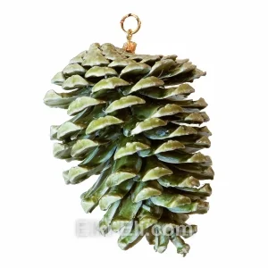 Большая зеленая подвесная сосновая шишка, фото