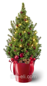 Ель Коника "Красные бантики" в кашпо  , фото