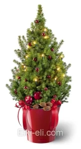 Ель Коника "Красные бантики" в кашпо  , фото