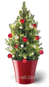 Ель Коника "Новогодняя" в кашпо , фото