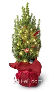Ель Коника подарочная "Снегирь", фото