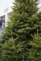 Датские елки