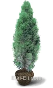 Сосна черная Green Tower, фото