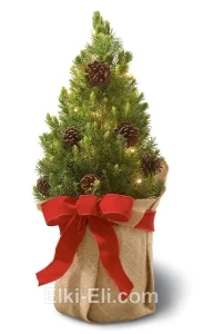 Ель Коника "Бантик" подарочная , фото