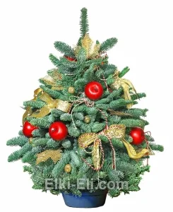 Елочка из лапника «Яблочная», фото Елочка из лапника «Яблочная», фото