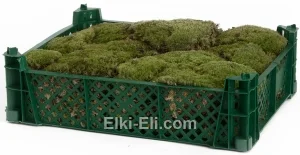 Живой мох кочками, фото