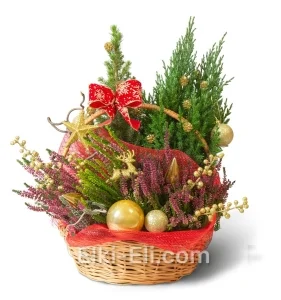 Композиция «Вересковый лес», фото